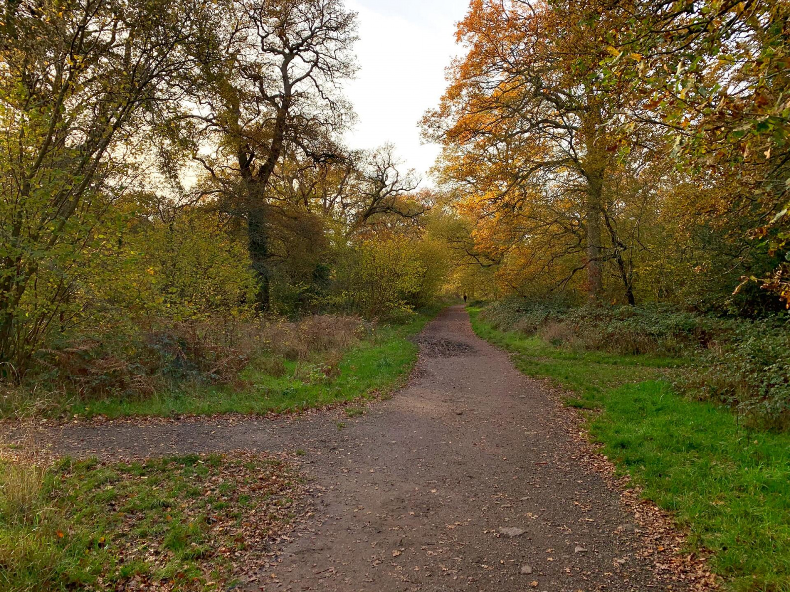 Introducing the association committee members